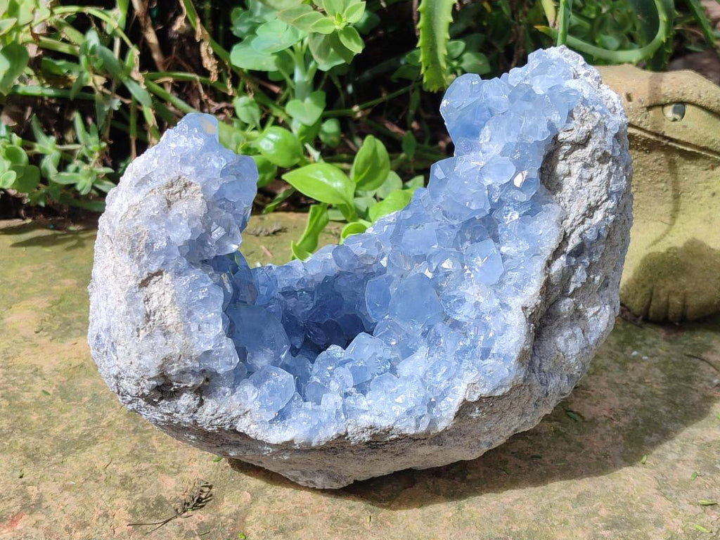 Natural Large Blue Celestite Geode Specimen x 1 From Sakoany, Madagascar - Toprock Gemstones and Minerals 