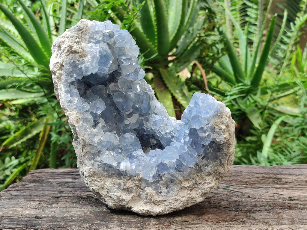 Natural Large Blue Celestite Geode Specimen x 1 From Sakoany, Madagascar - Toprock Gemstones and Minerals 