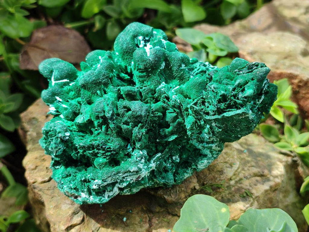Natural Rare Malachite Pseudomorph Specimens x 2 From Kolwezi, Congo - Toprock Gemstones and Minerals 