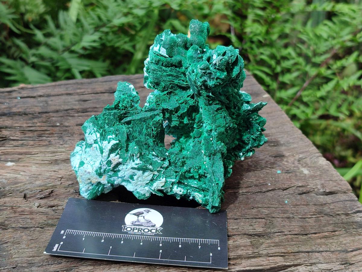Natural Rare Malachite Pseudomorph Specimens x 2 From Kolwezi, Congo - Toprock Gemstones and Minerals 