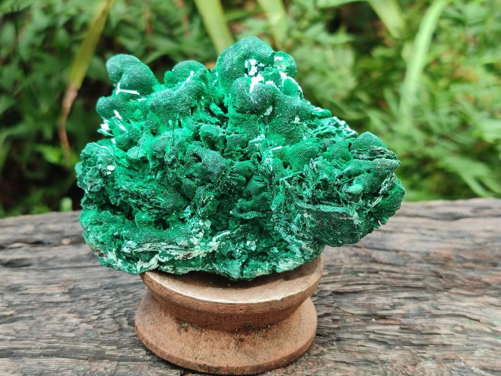 Natural Rare Malachite Pseudomorph Specimens x 2 From Kolwezi, Congo - Toprock Gemstones and Minerals 