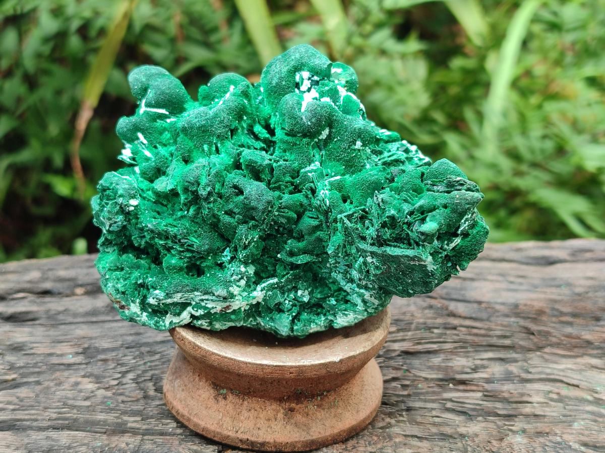Natural Rare Malachite Pseudomorph Specimens x 2 From Kolwezi, Congo - Toprock Gemstones and Minerals 