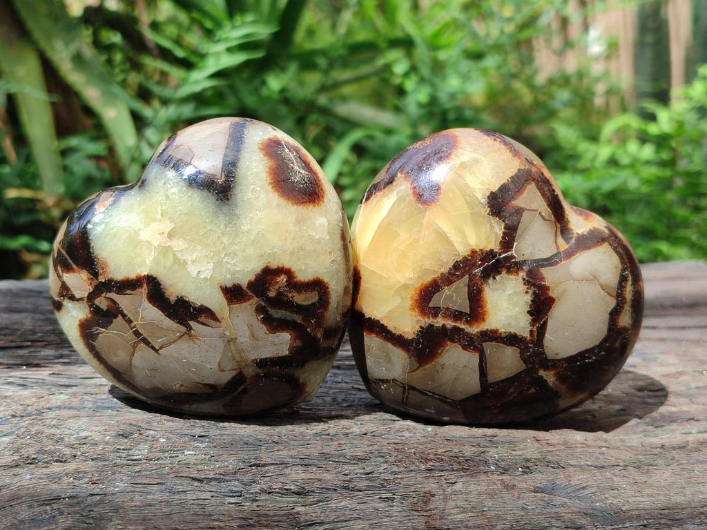 Polished Septerye Hearts x 6 From Mahajanga, Madagascar - Toprock Gemstones and Minerals 