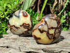Polished Septerye Hearts x 6 From Mahajanga, Madagascar - Toprock Gemstones and Minerals 