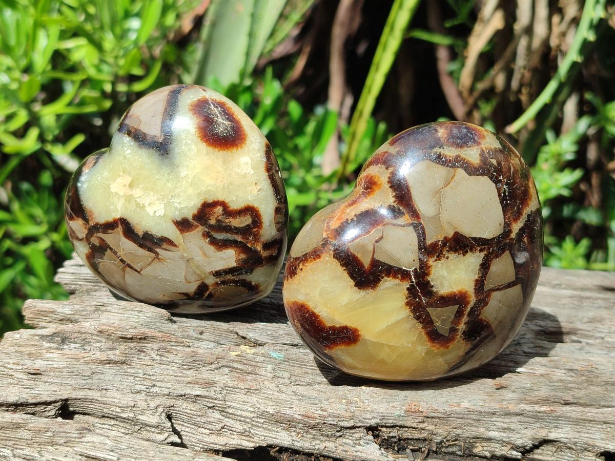 Polished Septerye Hearts x 6 From Mahajanga, Madagascar - Toprock Gemstones and Minerals 