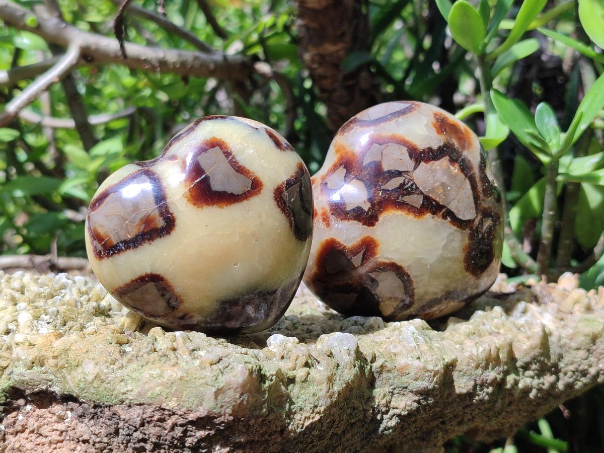 Polished Septerye Hearts x 6 From Mahajanga, Madagascar - Toprock Gemstones and Minerals 