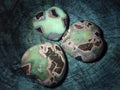 Polished Septerye Hearts x 6 From Mahajanga, Madagascar - Toprock Gemstones and Minerals 