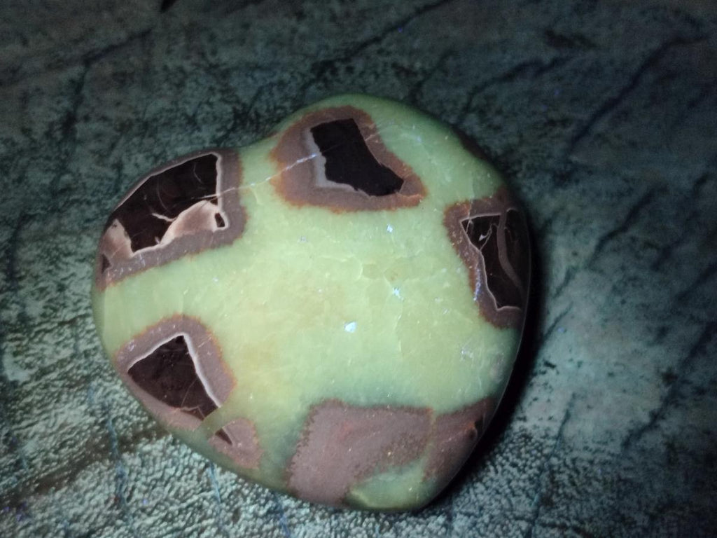 Polished Septerye Hearts x 6 From Mahajanga, Madagascar - Toprock Gemstones and Minerals 
