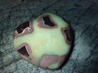Polished Septerye Hearts x 6 From Mahajanga, Madagascar - Toprock Gemstones and Minerals 