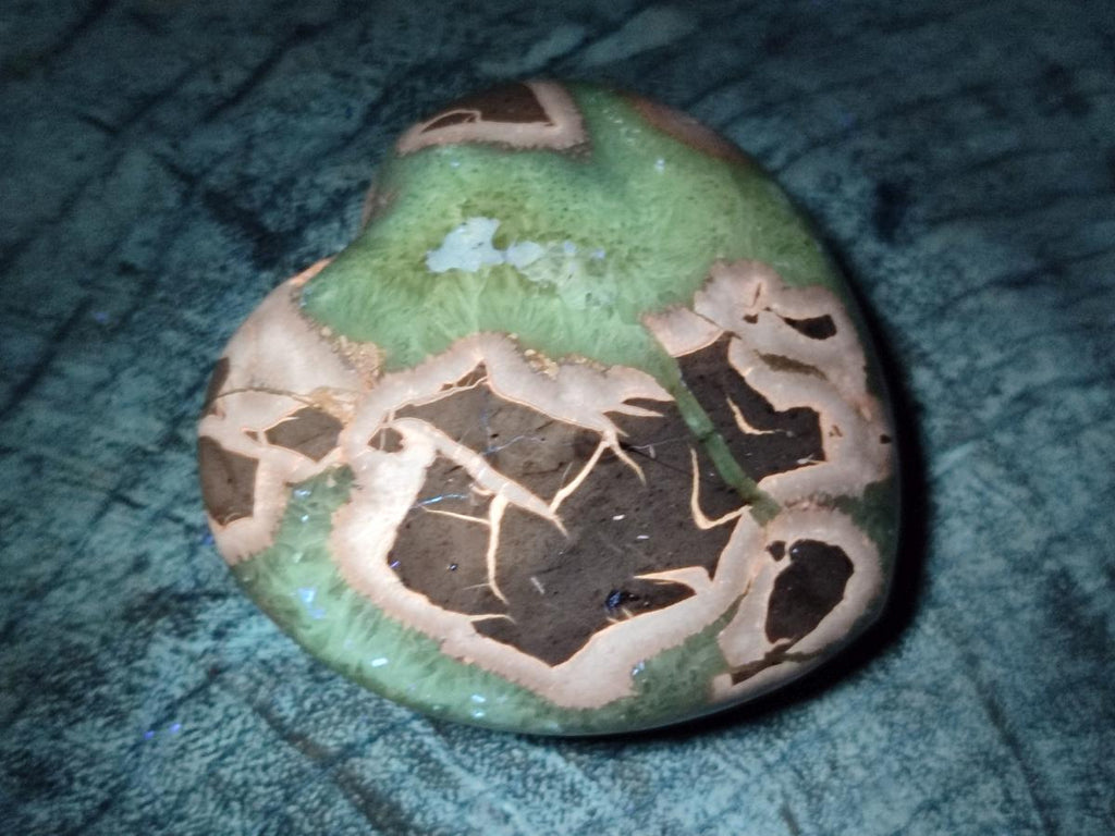Polished Septerye Hearts x 6 From Mahajanga, Madagascar - Toprock Gemstones and Minerals 