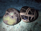 Polished Septerye Hearts x 6 From Mahajanga, Madagascar - Toprock Gemstones and Minerals 