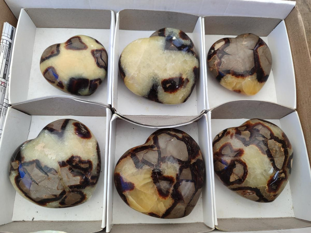 Polished Septerye Hearts x 6 From Mahajanga, Madagascar - Toprock Gemstones and Minerals 
