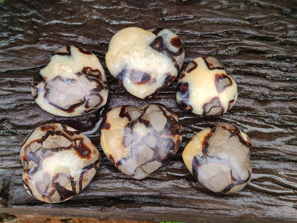 Polished Septerye Hearts x 6 From Mahajanga, Madagascar - Toprock Gemstones and Minerals 