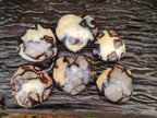 Polished Septerye Hearts x 6 From Mahajanga, Madagascar - Toprock Gemstones and Minerals 