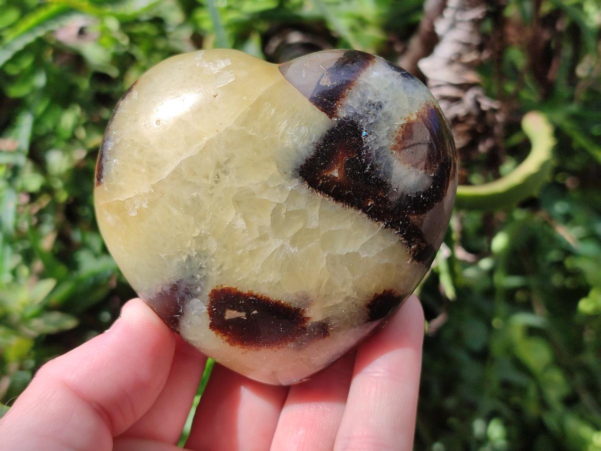 Polished Septerye Hearts x 6 From Mahajanga, Madagascar - Toprock Gemstones and Minerals 