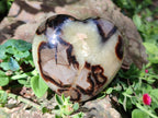 Polished Septerye Hearts x 6 From Mahajanga, Madagascar - Toprock Gemstones and Minerals 