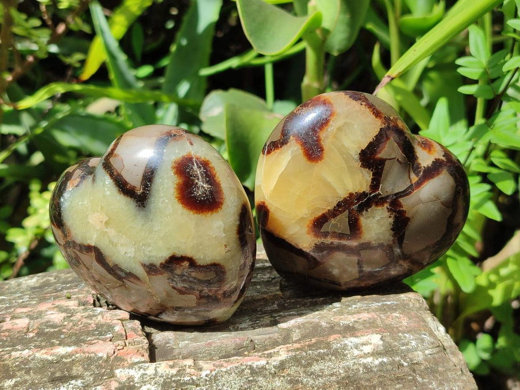 Polished Septerye Hearts x 6 From Mahajanga, Madagascar - Toprock Gemstones and Minerals 
