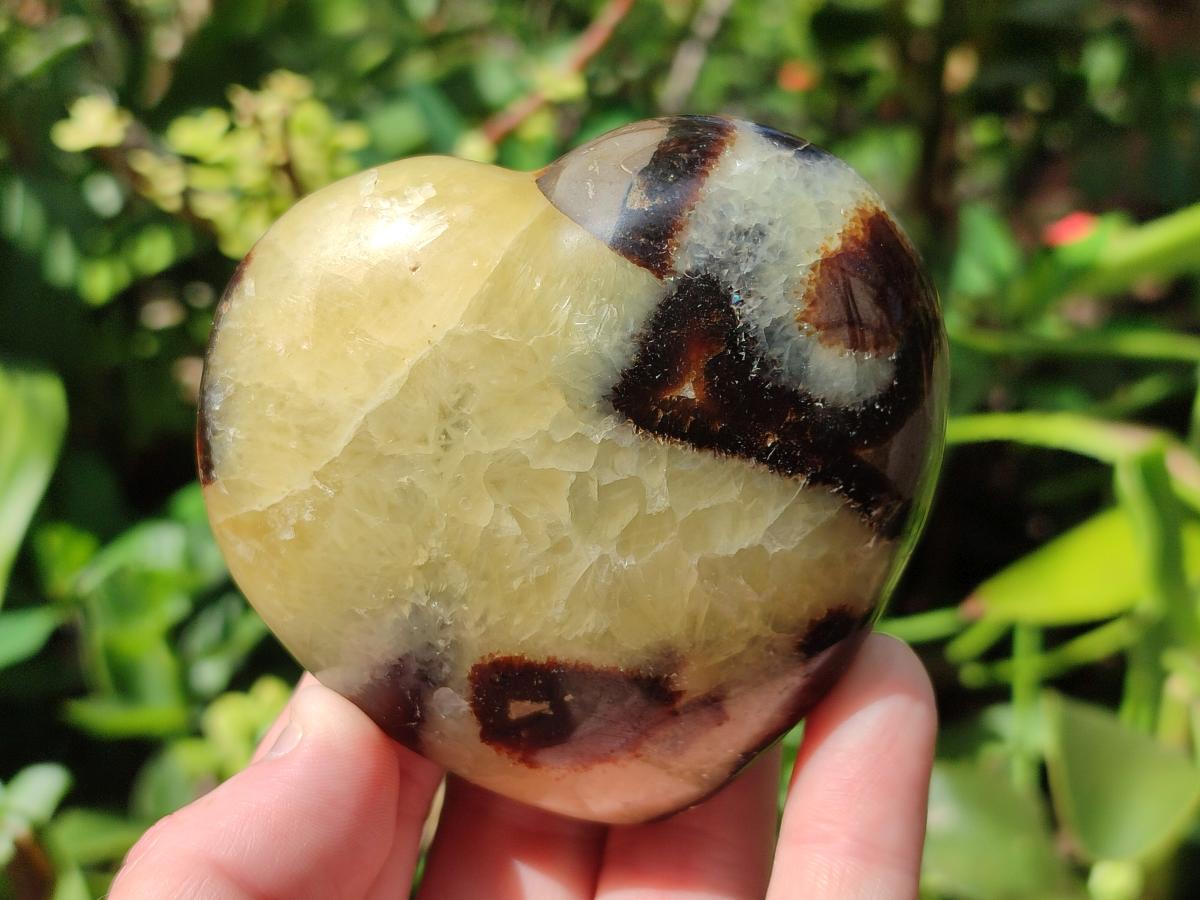 Polished Septerye Hearts x 6 From Mahajanga, Madagascar - Toprock Gemstones and Minerals 