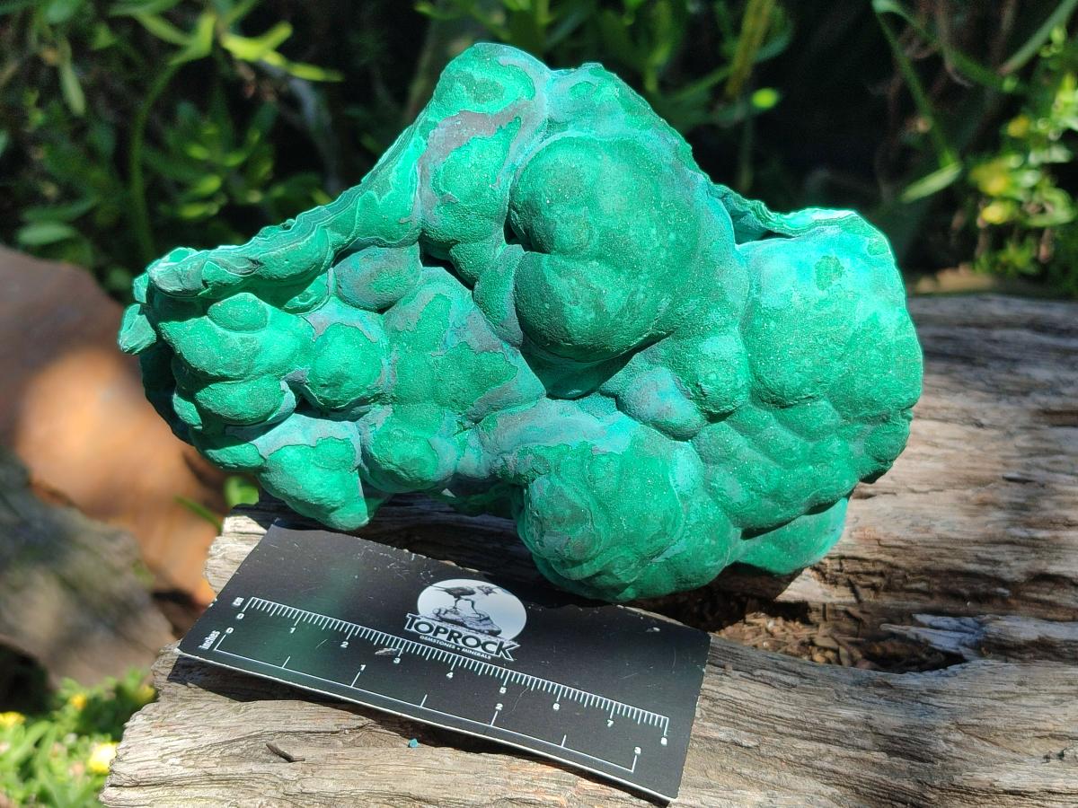 Natural Botryoidal Malachite Specimens x 3 From Congo - Toprock Gemstones and Minerals 