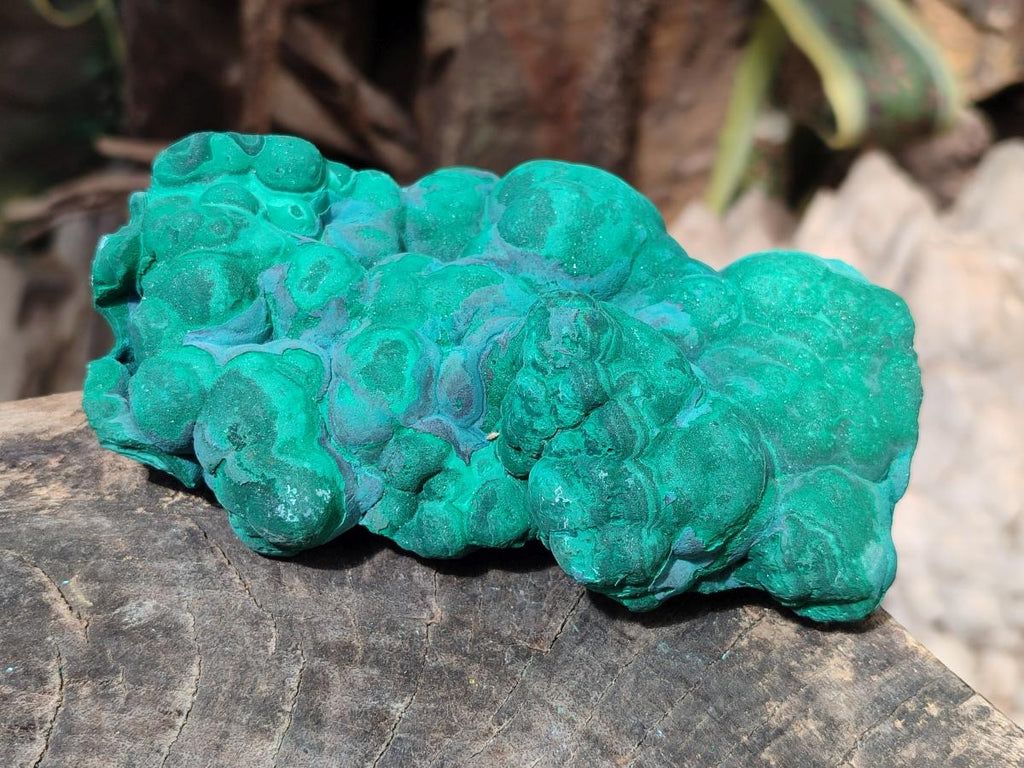 Natural Botryoidal Malachite Specimens x 3 From Congo - Toprock Gemstones and Minerals 
