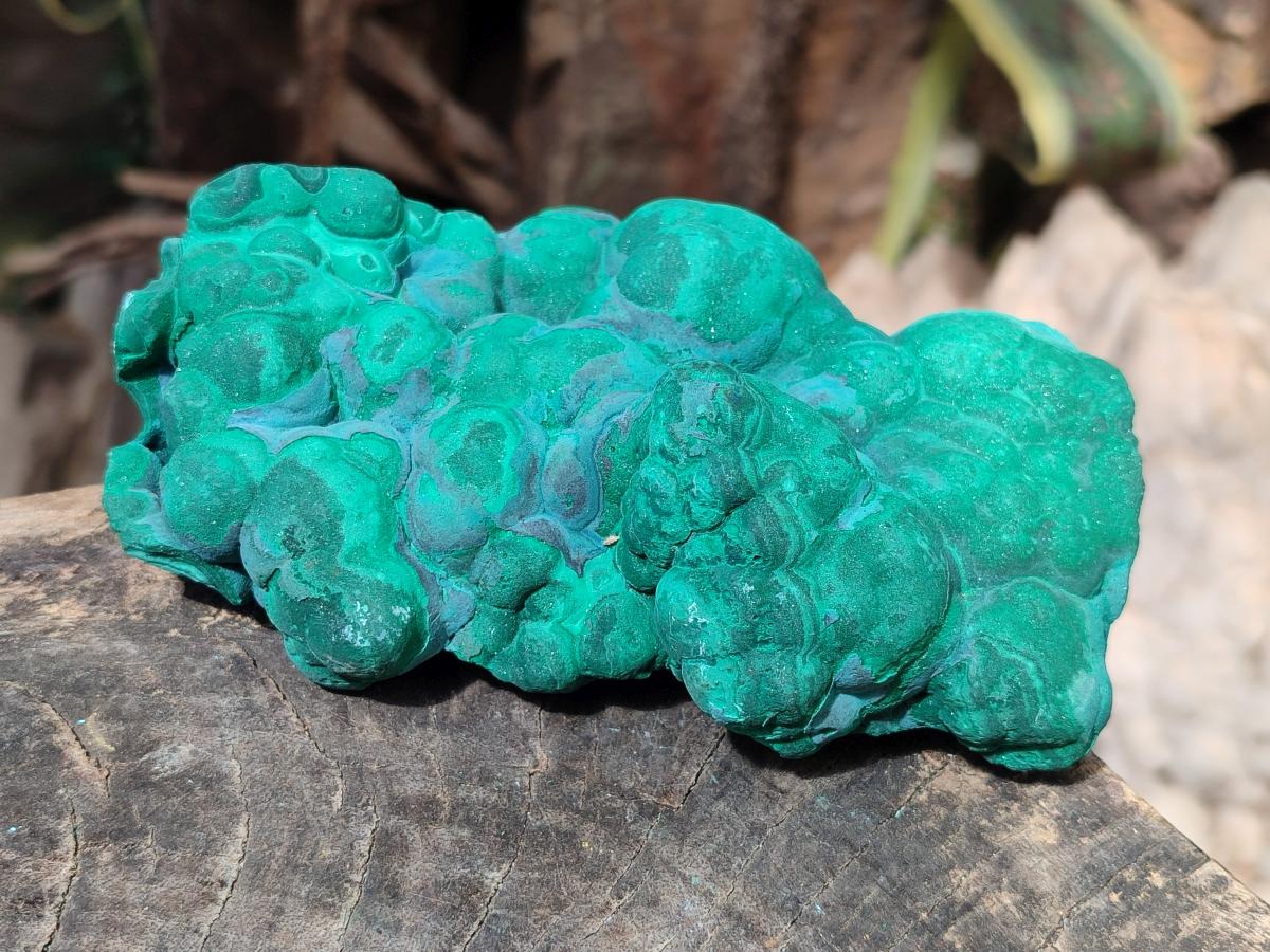 Natural Botryoidal Malachite Specimens x 3 From Congo - Toprock Gemstones and Minerals 