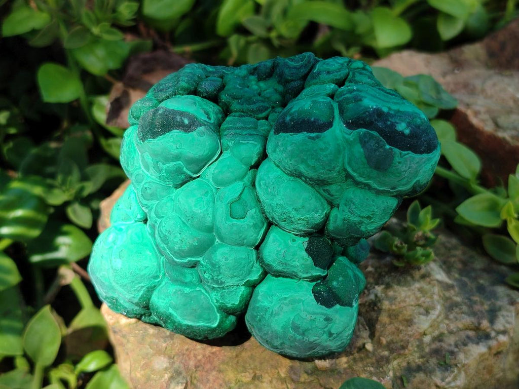 Natural Botryoidal Malachite Specimens x 3 From Congo - Toprock Gemstones and Minerals 