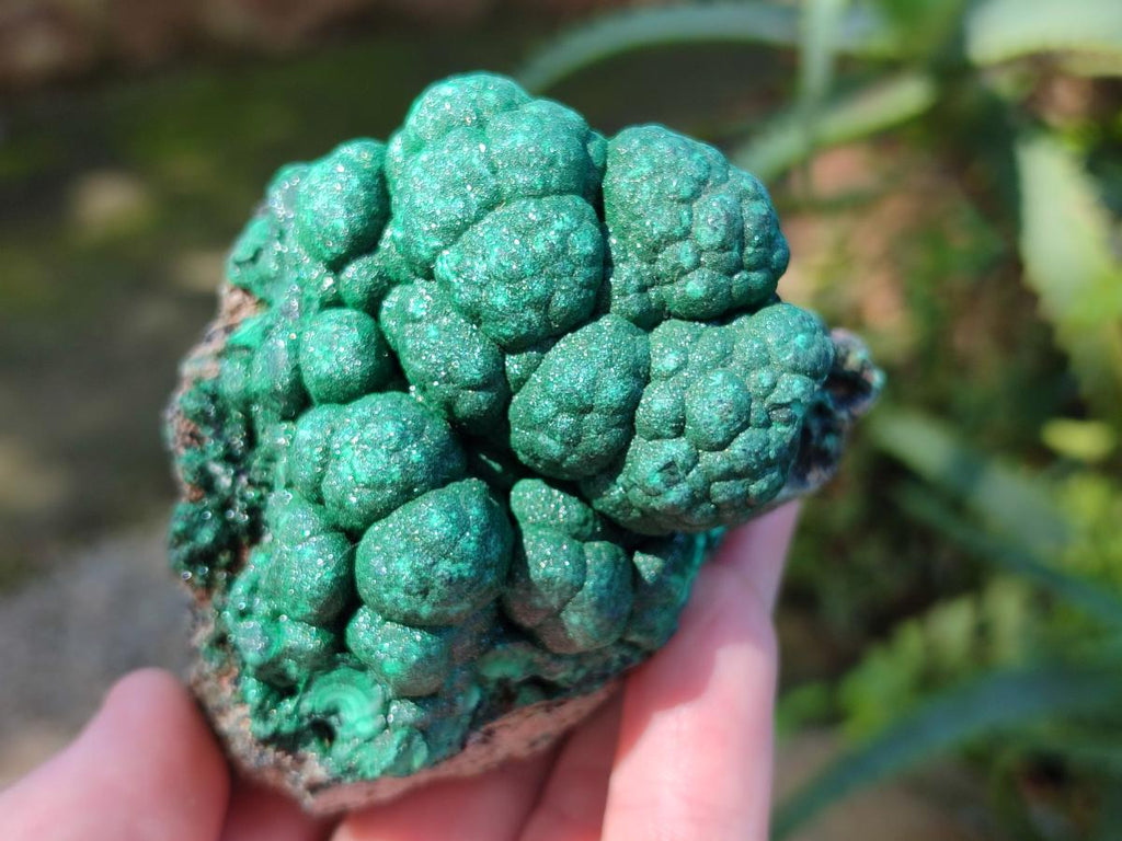 Natural Botryoidal Malachite Specimens x 3 From Congo - Toprock Gemstones and Minerals 