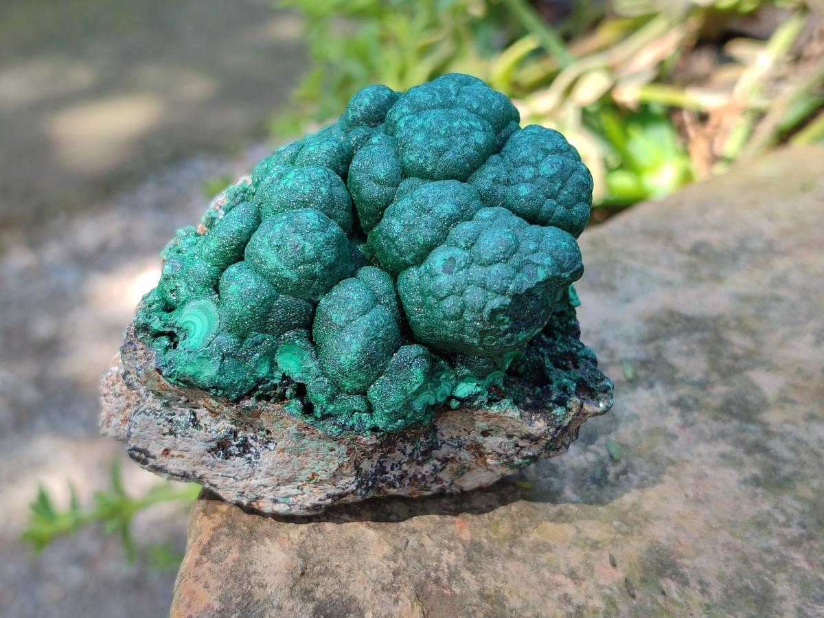 Natural Botryoidal Malachite Specimens x 3 From Congo - Toprock Gemstones and Minerals 