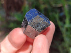 Natural Alluvial Schorl Black Tourmaline Crystals x 2 Kg Lot From Zimbabwe - Toprock Gemstones and Minerals 