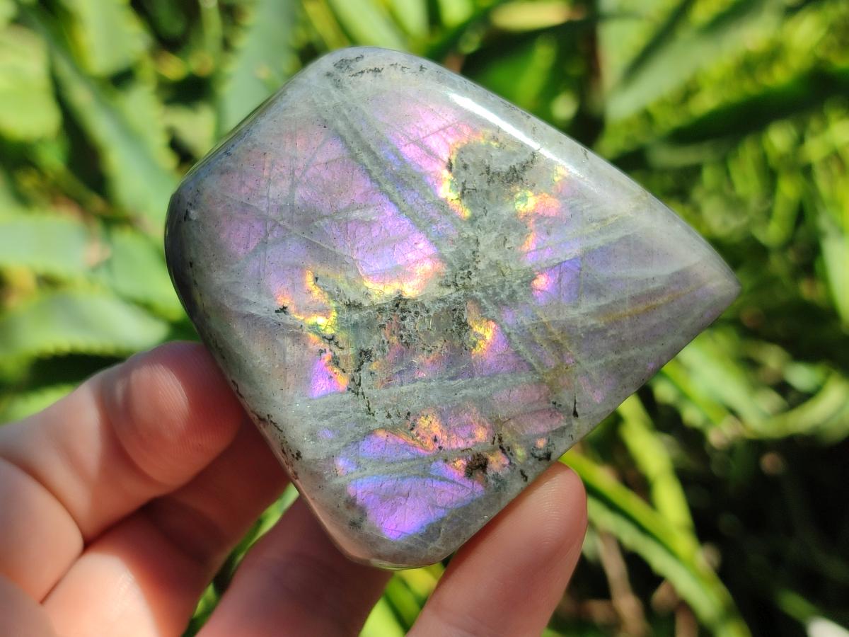 Polished Rare Purple Sunset Flash Labradorite Standing Free Forms x 6 From Madagascar - Toprock Gemstones and Minerals 