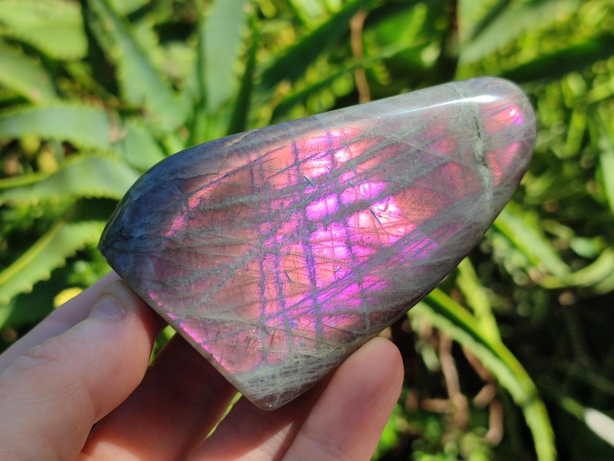 Polished Rare Purple Sunset Flash Labradorite Standing Free Forms x 6 From Madagascar - Toprock Gemstones and Minerals 