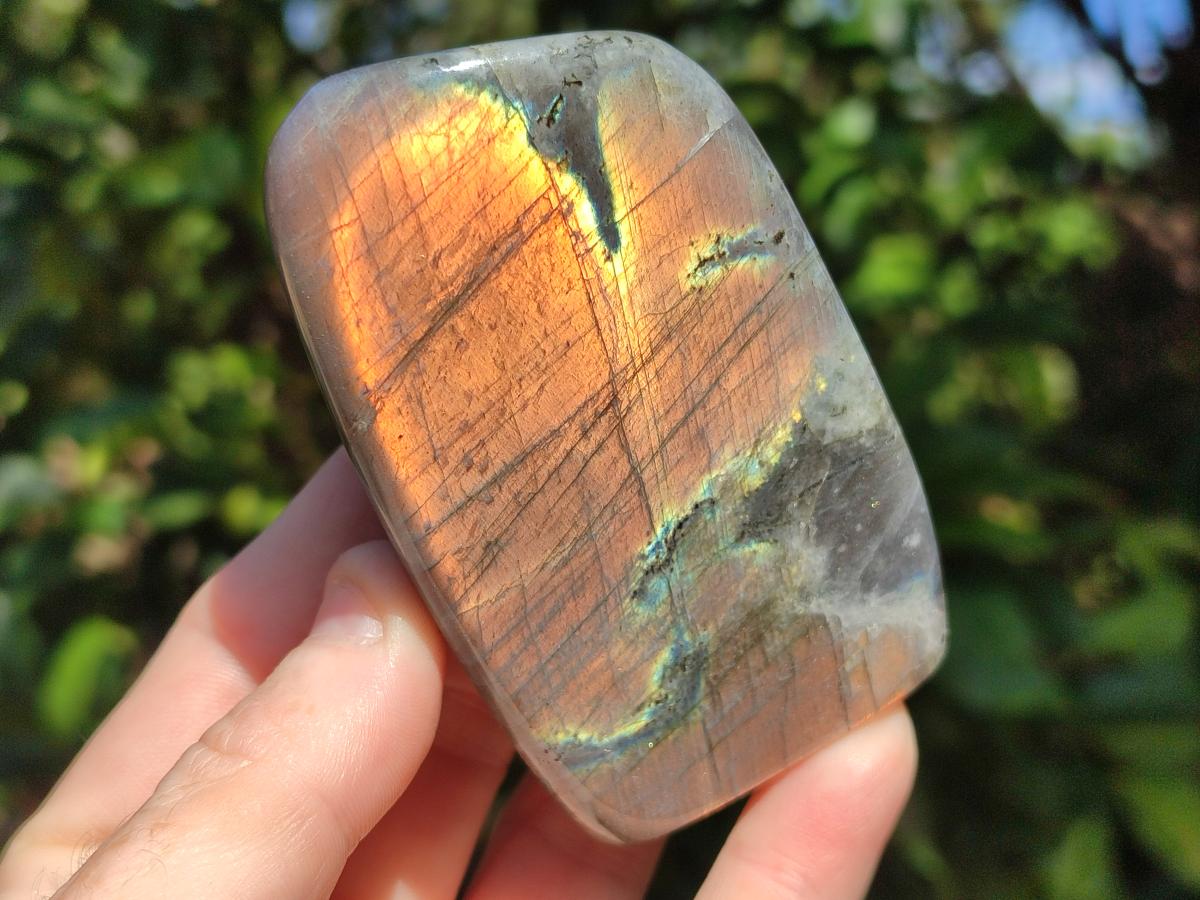 Polished Rare Purple Sunset Flash Labradorite Standing Free Forms x 6 From Madagascar - Toprock Gemstones and Minerals 