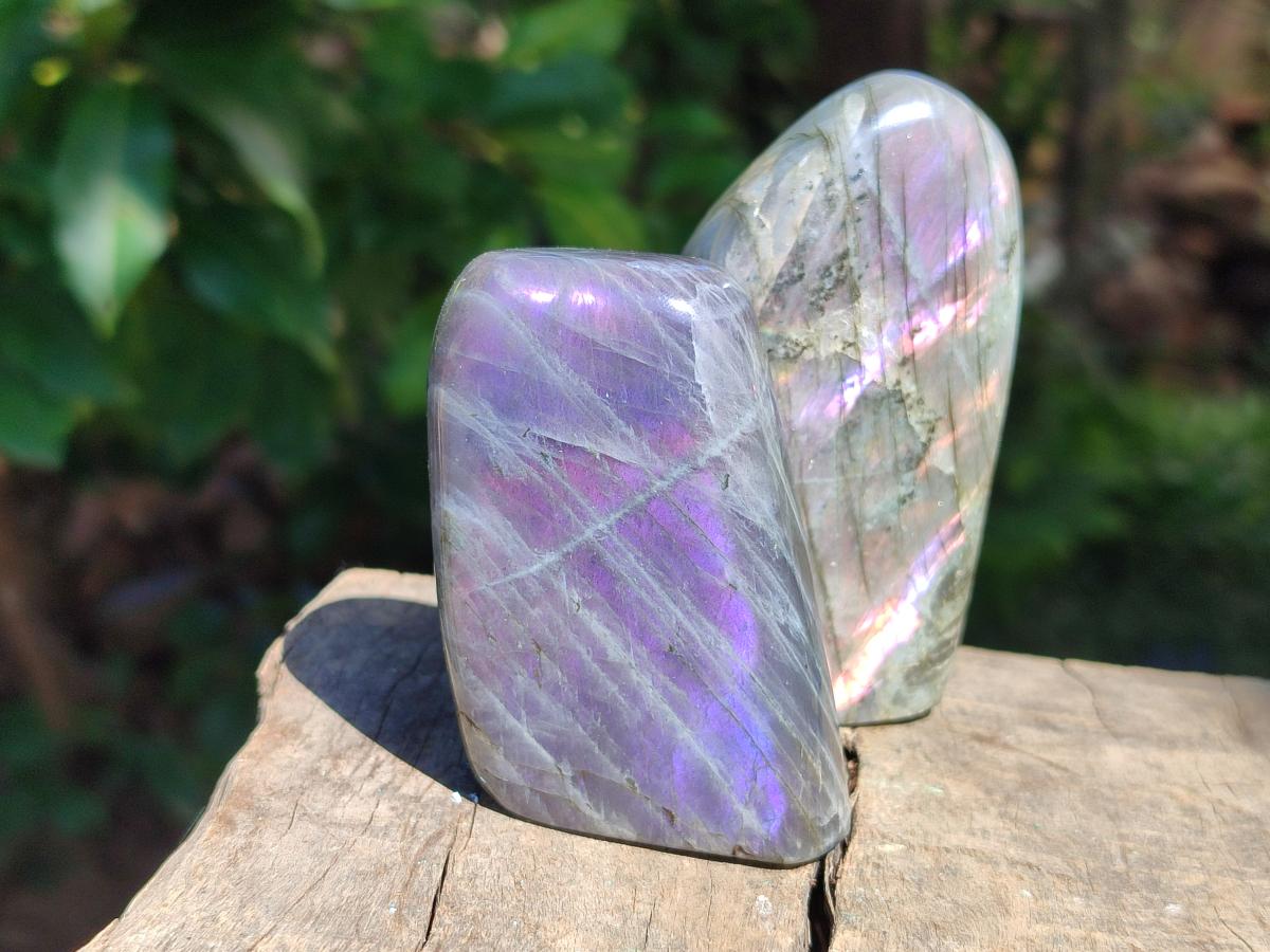 Polished Rare Purple Sunset Flash Labradorite Standing Free Forms x 6 From Madagascar - Toprock Gemstones and Minerals 