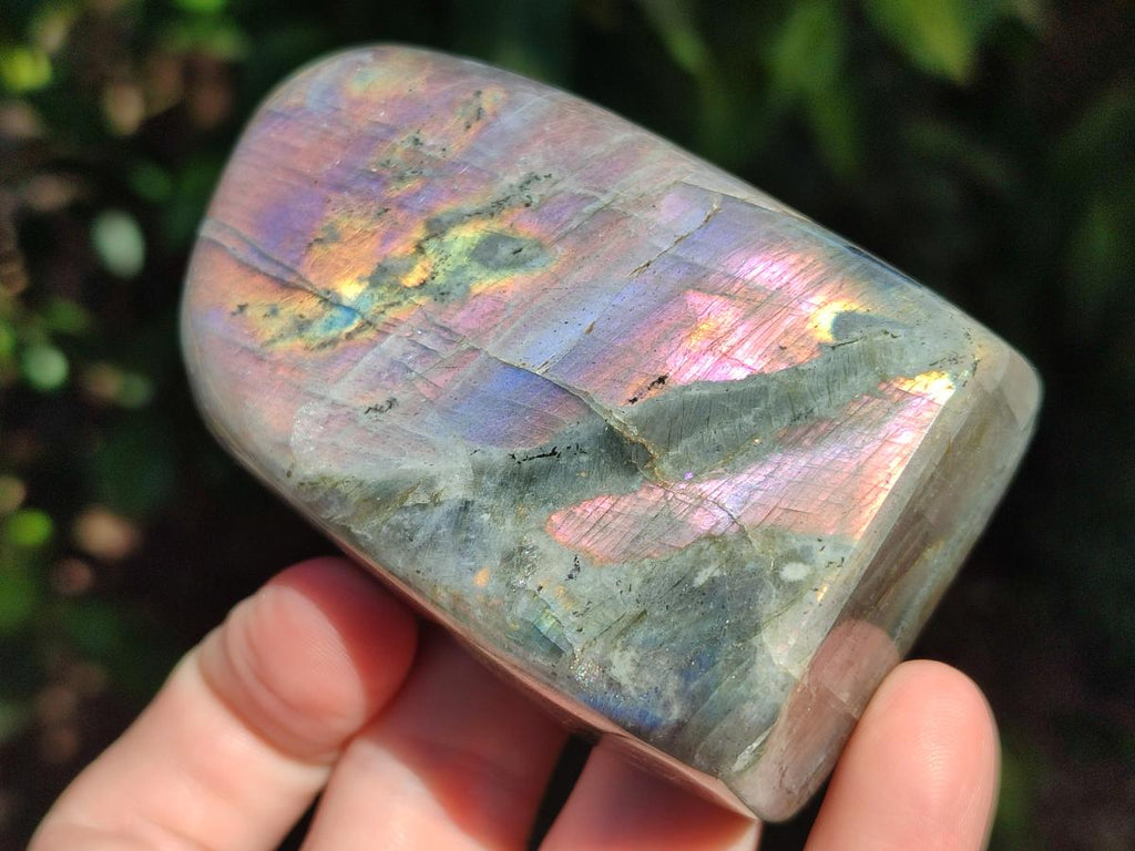 Polished Rare Purple Sunset Flash Labradorite Standing Free Forms x 6 From Madagascar - Toprock Gemstones and Minerals 