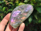 Polished Rare Purple Sunset Flash Labradorite Standing Free Forms x 6 From Madagascar - Toprock Gemstones and Minerals 