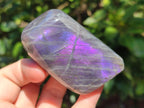 Polished Rare Purple Sunset Flash Labradorite Standing Free Forms x 6 From Madagascar - Toprock Gemstones and Minerals 