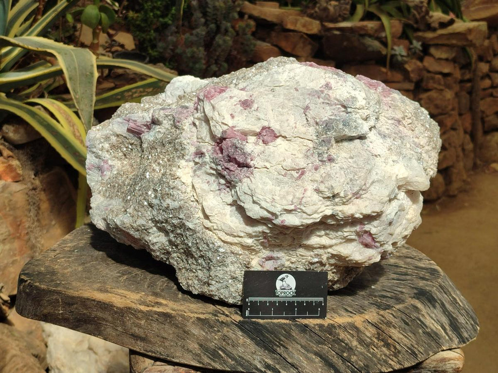 Natural XXL Pink Rubellite Tourmaline Specimen x 1 From Karibib, Namibia - Toprock Gemstones and Minerals 