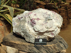 Natural XXL Pink Rubellite Tourmaline Specimen x 1 From Karibib, Namibia - Toprock Gemstones and Minerals 