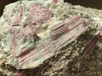 Natural XXL Pink Rubellite Tourmaline Specimen x 1 From Karibib, Namibia - Toprock Gemstones and Minerals 
