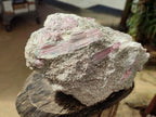 Natural XXL Pink Rubellite Tourmaline Specimen x 1 From Karibib, Namibia - Toprock Gemstones and Minerals 