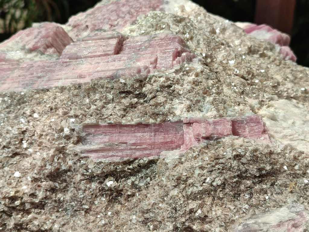 Natural XXL Pink Rubellite Tourmaline Specimen x 1 From Karibib, Namibia - Toprock Gemstones and Minerals 