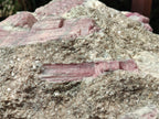 Natural XXL Pink Rubellite Tourmaline Specimen x 1 From Karibib, Namibia - Toprock Gemstones and Minerals 