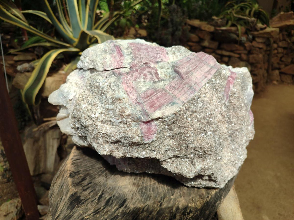 Natural XXL Pink Rubellite Tourmaline Specimen x 1 From Karibib, Namibia - Toprock Gemstones and Minerals 