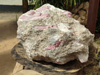Natural XXL Pink Rubellite Tourmaline Specimen x 1 From Karibib, Namibia - Toprock Gemstones and Minerals 