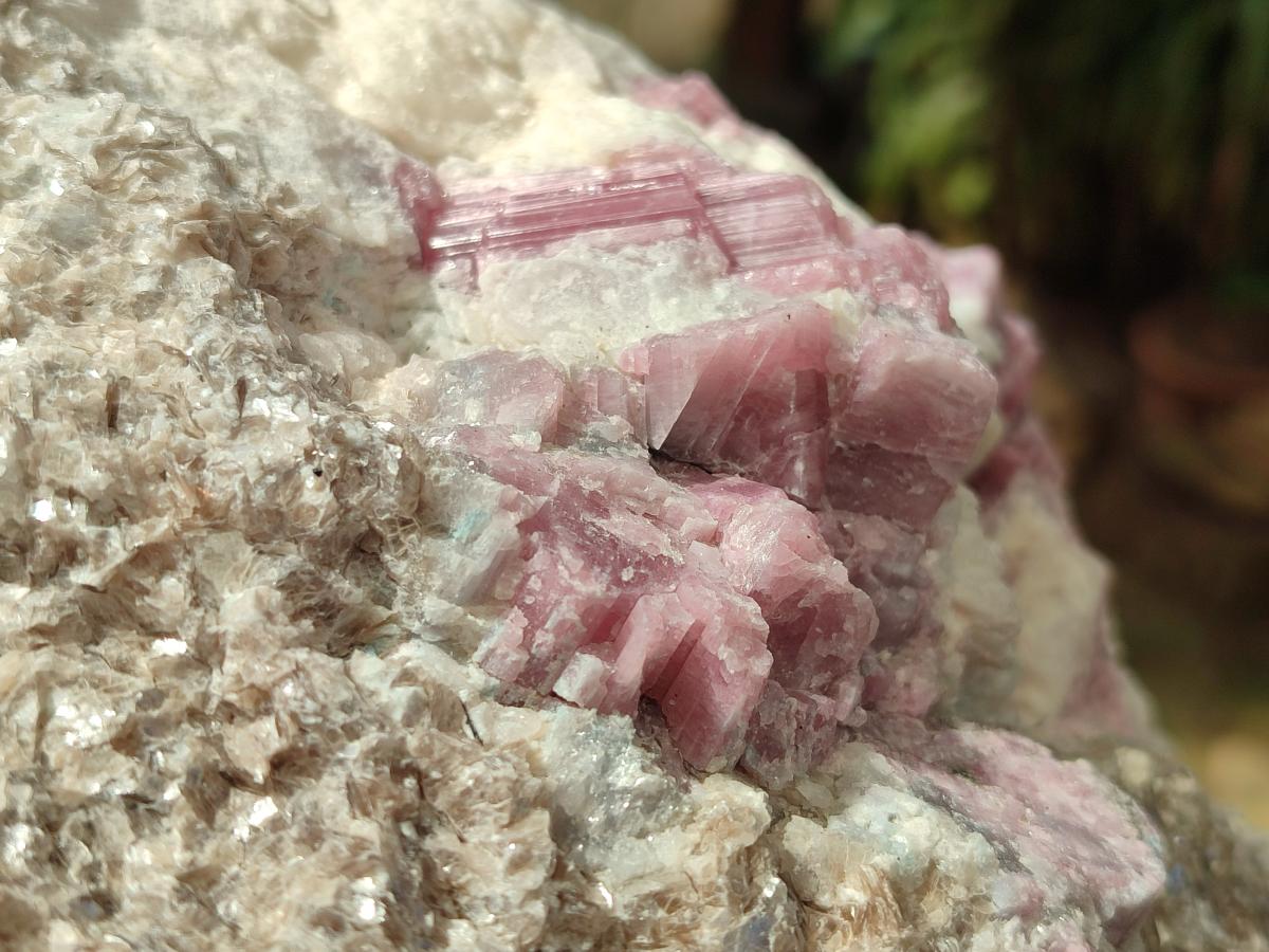 Natural XXL Pink Rubellite Tourmaline Specimen x 1 From Karibib, Namibia - Toprock Gemstones and Minerals 