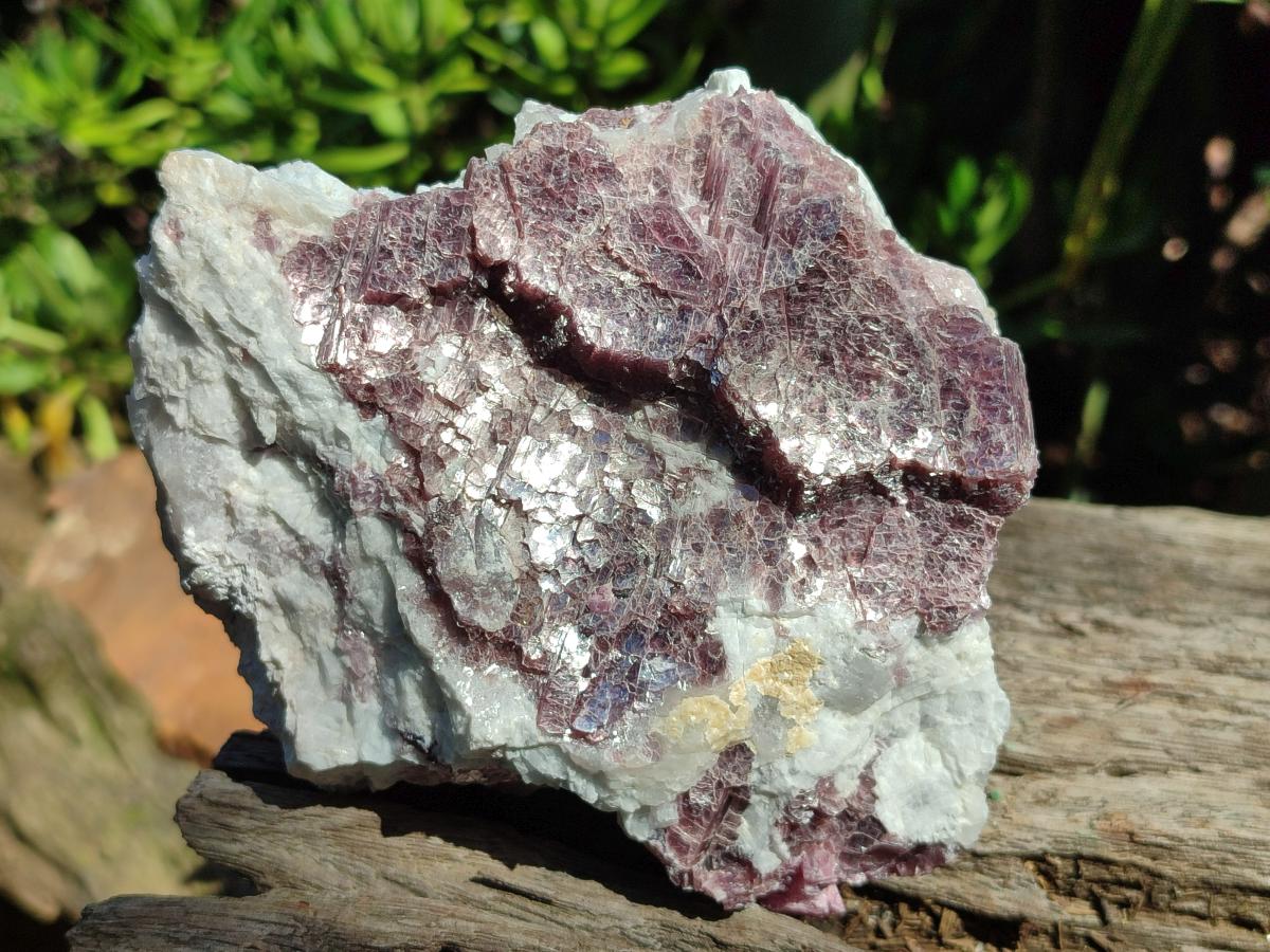 Natural Pink Rubellite Tourmaline Specimens x 3 From Karibib, Namibia - Toprock Gemstones and Minerals 