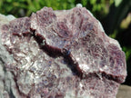 Natural Pink Rubellite Tourmaline Specimens x 3 From Karibib, Namibia - Toprock Gemstones and Minerals 