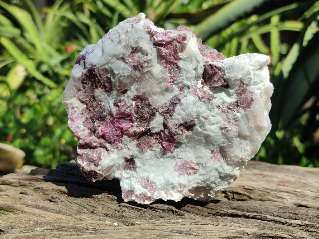 Natural Pink Rubellite Tourmaline Specimens x 3 From Karibib, Namibia - Toprock Gemstones and Minerals 