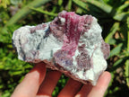 Natural Pink Rubellite Tourmaline Specimens x 3 From Karibib, Namibia - Toprock Gemstones and Minerals 