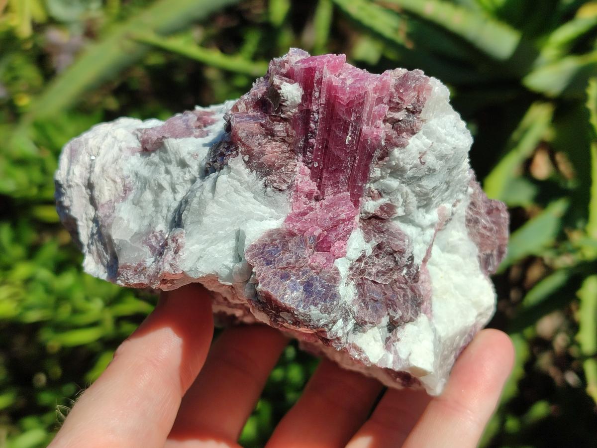 Natural Pink Rubellite Tourmaline Specimens x 3 From Karibib, Namibia - Toprock Gemstones and Minerals 